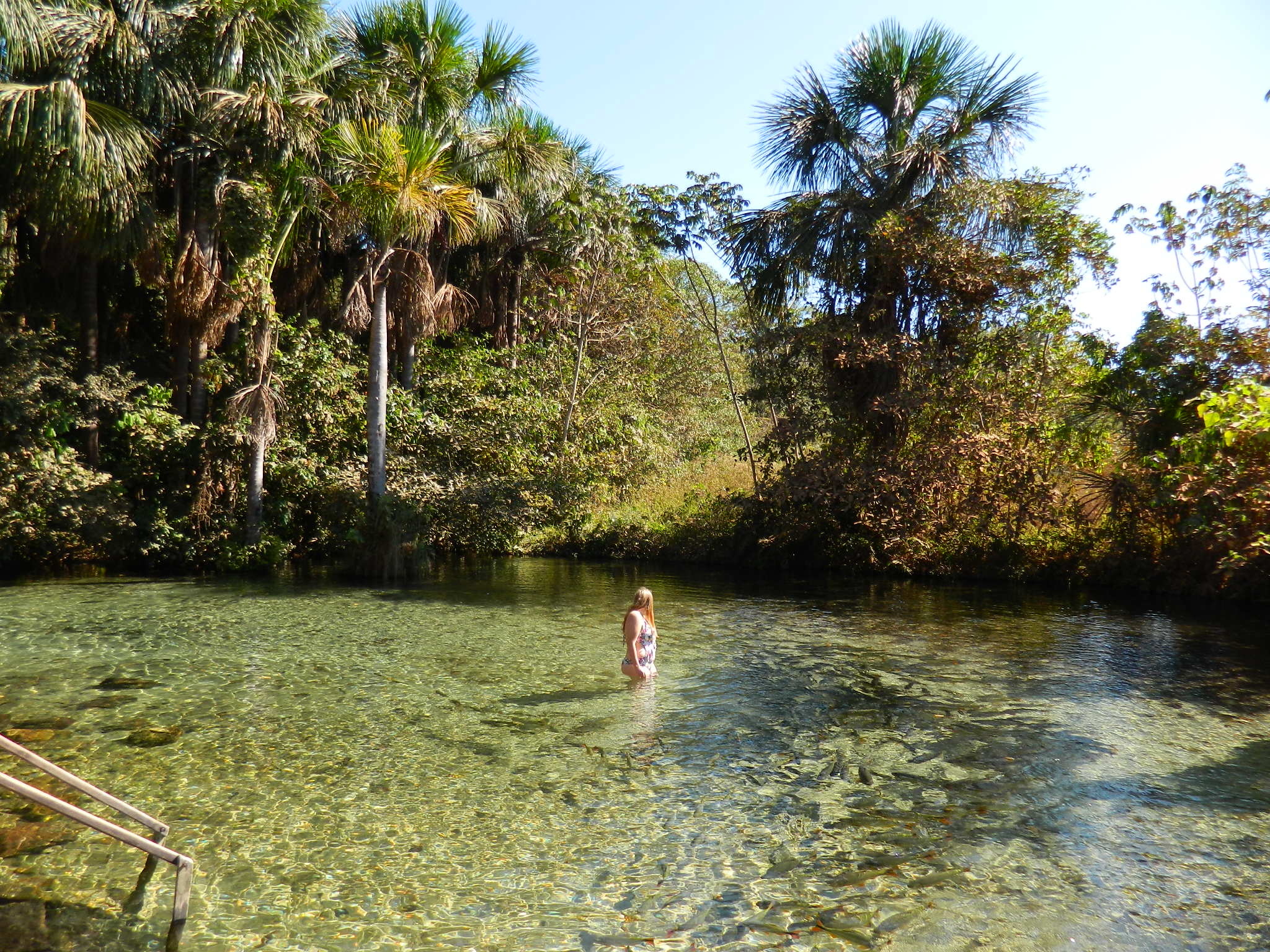 Nobres Estivado