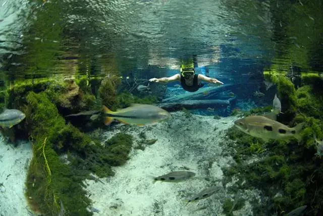 AGUAS CRISTALINAS